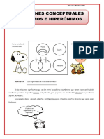 Hiponimos e Hiperonimos 4to