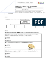 Evaluación Pueblos Originarios 2019 (Autoguardado)