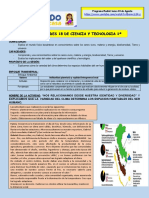 Actividad 18 - Radial (03 e Agosto) PDF