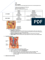 Anterior Posterior: o Posterior Renal Fascia Is Also Known As Zuckerkandl's Fascia)