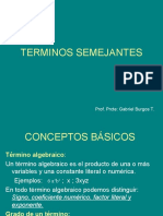 Trminossemejantes Pptgabriel 100903153113 Phpapp02