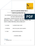 Trabajo de Campo 1. D. Procesal Penal