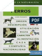 Perros - Gino Pugneti