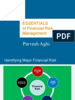 Financial Risk Management