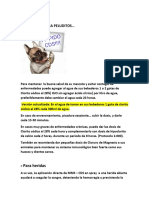 Protocolos para Peluditos PDF