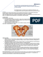 BOLILLA 1 Licenciatura en Obstetricia UNLP