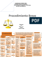 Procedimiento Breve - Felix