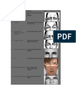 Resumen Unidades de Acción Facial (UAs) de Ekman