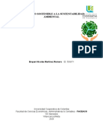 Desarrollo Sostenible A La Sustentabilidad Ambiental