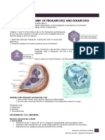 Functional Anatomy of Prokaryotes and Eukaryotes