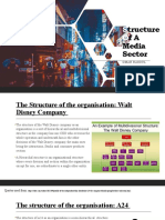 Structure of A Media Sector