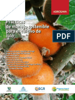 Lulo PDF