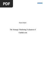 The Strategic Marketing Evaluation Of: Project Report