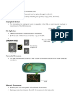 Cellular Division Reviewer PDF