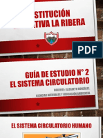 Guía # 2 - Sistema Circulatorio Grado 7°