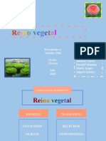 Clasificacion de Los Seres Vivos