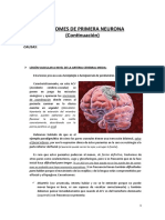 Sindromes Primera Neurona