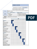 Programa y Plan de Auditorias