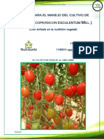 Manual de Jitomate Al Aire Libre PDF