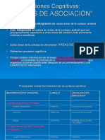 Areas de Asociación, 2007 Lista