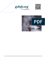 Imrt PDF