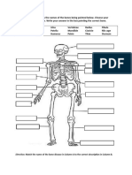 Skeletal System Summative Test (Grade 6)