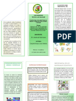 Triptico PDF