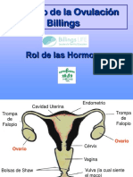 Rol de Las Hormonas