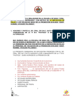 Programa Imp. Palas 2020