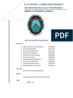 Informe Reactor Preoficial (2) ...