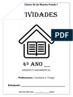 Primeiras Semanas PDF