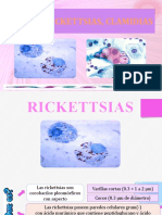 Rickesttias y Clamidias