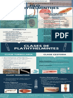 Infografia de Plathyhelminthes