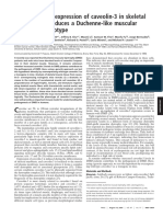 Transgenic Overexpression of Caveolin-3 in Skeletal Muscle Fibers Induces A Duchenne-Like Muscular Dystrophy Phenotype