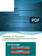 Tsunami: What Is A Tsunami?