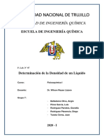 Informe P. Lab. 07. Densidad