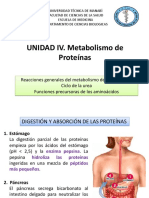 Unidad VIII. Metabolismo de ProteÃ - Nas