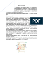 Acetazolamida PDF