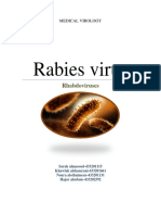 Rabies Virus: Rhabdoviruses