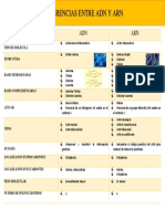 Cuadro Comparativo Entre Adn y Arn