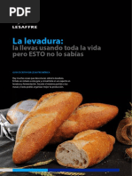 Lesaffre Ebook ESP