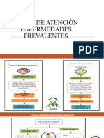 3 - Rutas de Atenciòn Enfermedades Prevalentes e Inmunoprevenibles