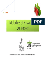 7-Maladies Et Ravageurs Du Fraisier 1