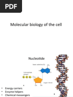 Molecular Biology