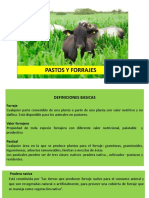 PresentaciónCLASE N°1. PASTOS Y FORRAJES