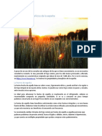 Propiedades y Beneficios de La Espelta PDF