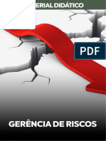 Gerência de Riscos 2