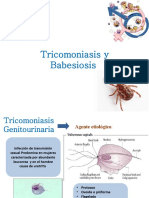 Triconomisasis y Babesiosis Diapo