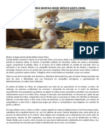 Caso-Bimbo Int PDF