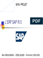 Erp PDF